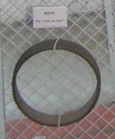 Rape, dite Collier de chien